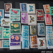IMG-3016