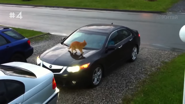 10.png