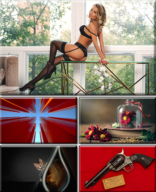 Computer Desktop Wallpapers Collection. Part 2824