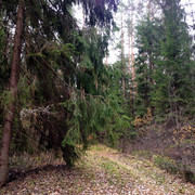 IMG-4460