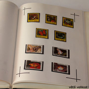 IMG-3977