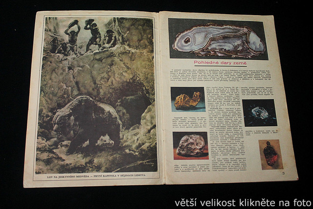 IMG-3572.jpg