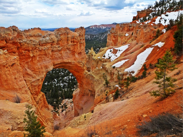 bryce1