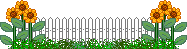 zaun-29