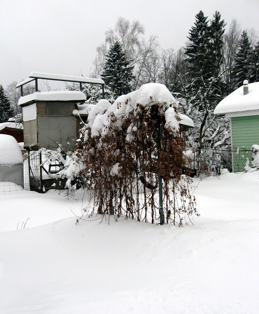 IMG-0819