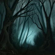 Dark Forest Picture