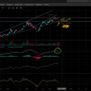 BPT-DAILY