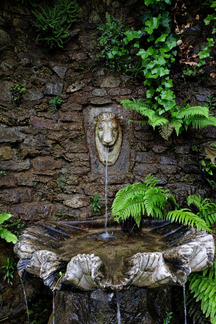 DSCF3272.jpg