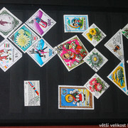 IMG-2342