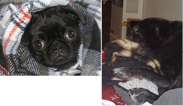 then-and-now