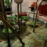 IMG-1738