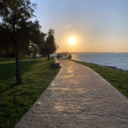 IMG-2542