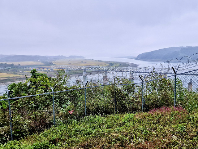 dmz3