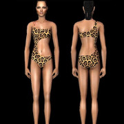 Safari-Swim