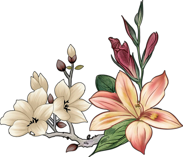 PNG.png
