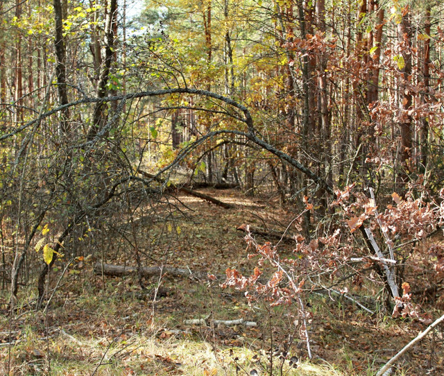 IMG-2183