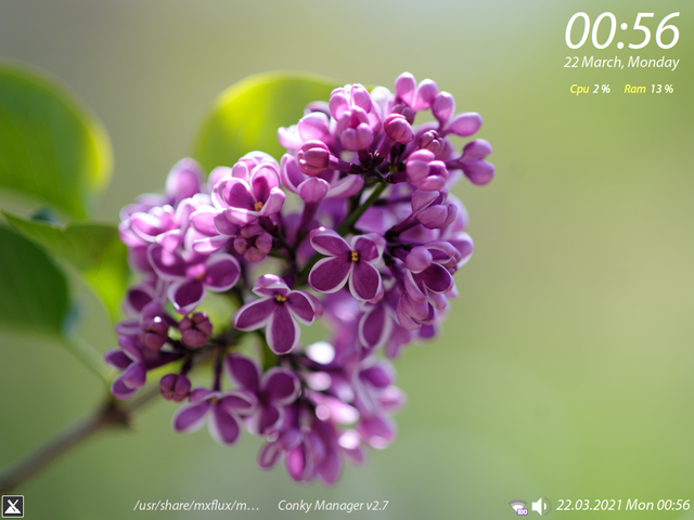 Lilac