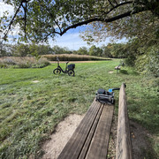 IMG 4554