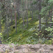 IMG 4958