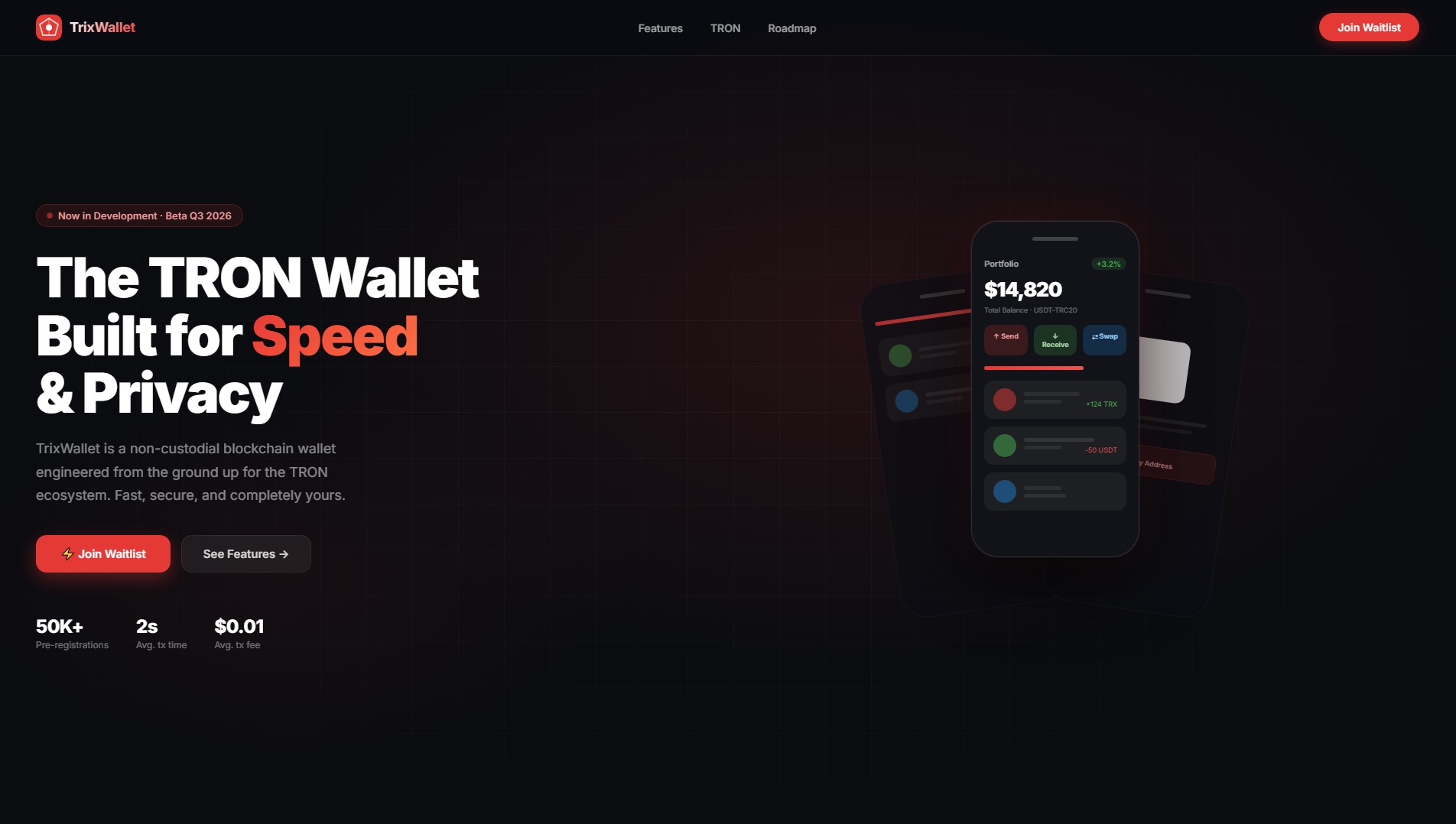 Forensic screenshot of twt-safe.cyou showing the phishing page layout