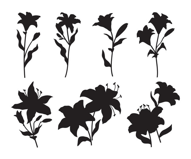 flat-flower-silhouette-set-23-2149382665.jpg