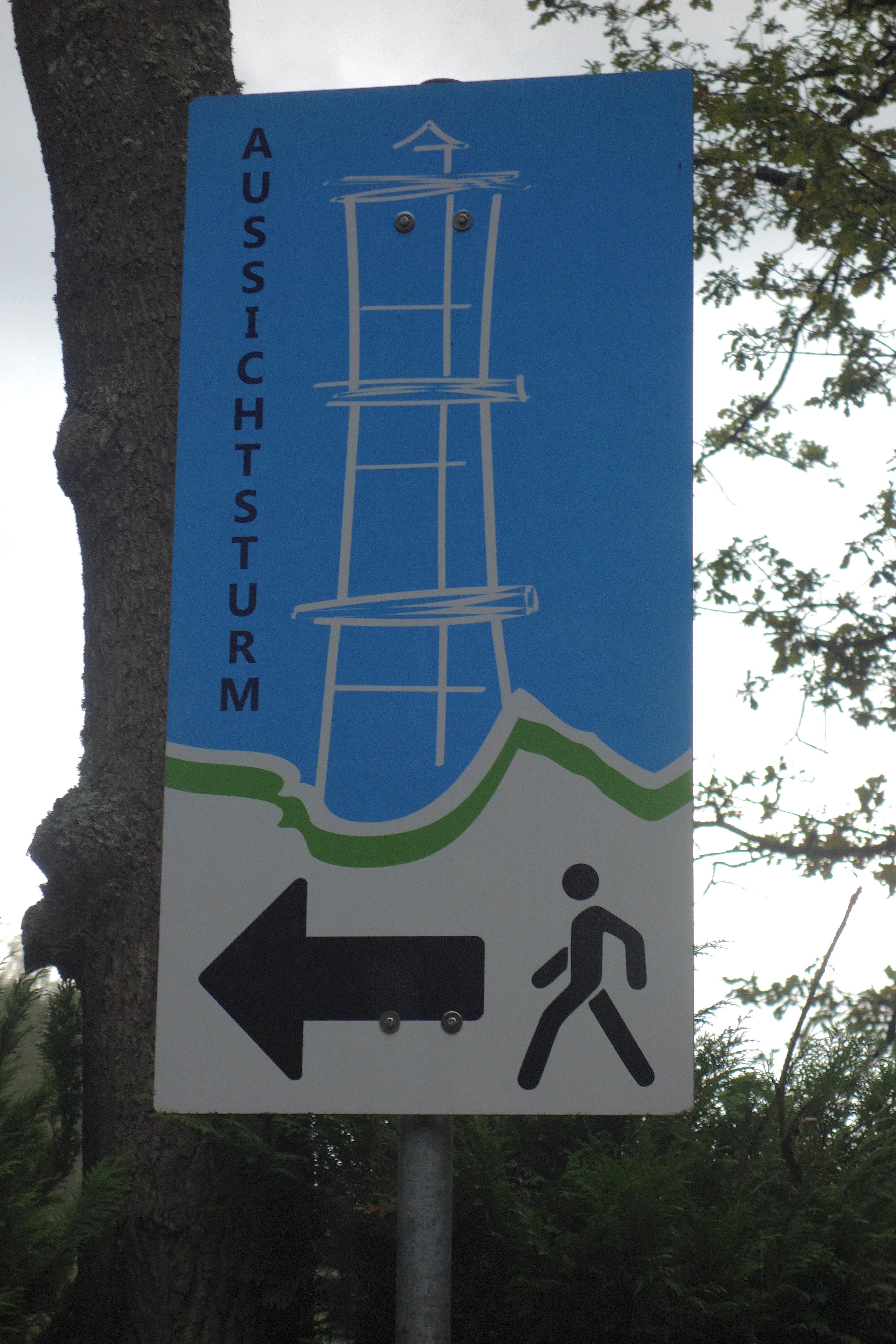 DSC09022