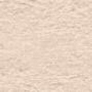 cream18