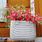 IMG-3037