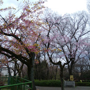 DSC-0093