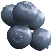 berries