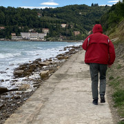 IMG-2384