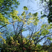 DSC-0028