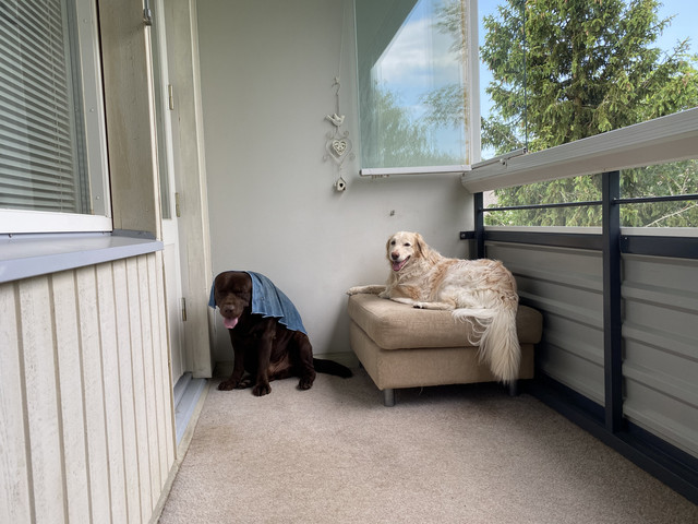 871-A8123-D486-4-A33-8-DF4-99300-B59-A4-