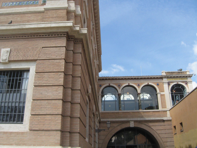 IMG-6579