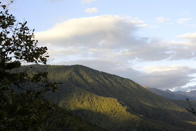 DSC7124.jpg