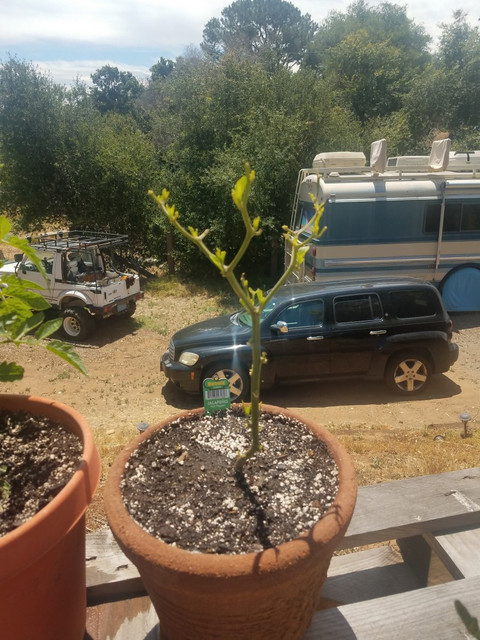 20190629_113218.jpg