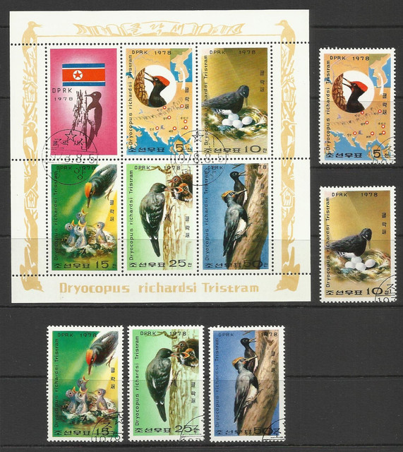 birds 14