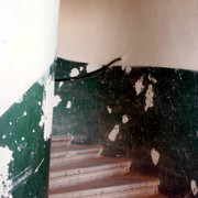 DSC05374