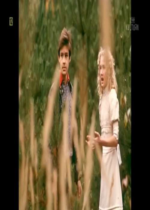 Skrzydła (1972) POL.1080p.WEB-DL.X264-Kbuso | Polska Produkcja