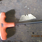 IMG-8886