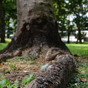 DSCF1315