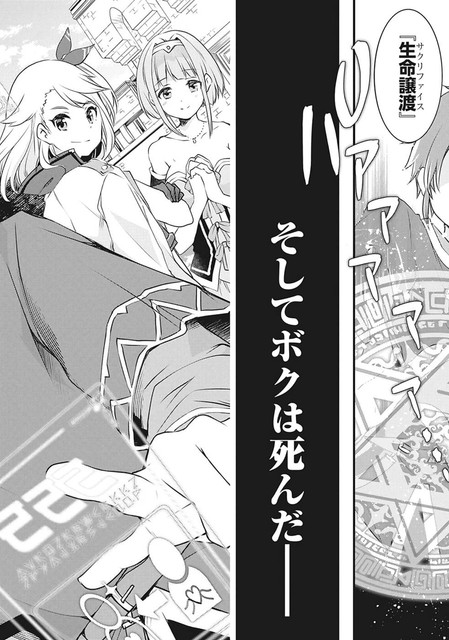 DLRAW-NET-006