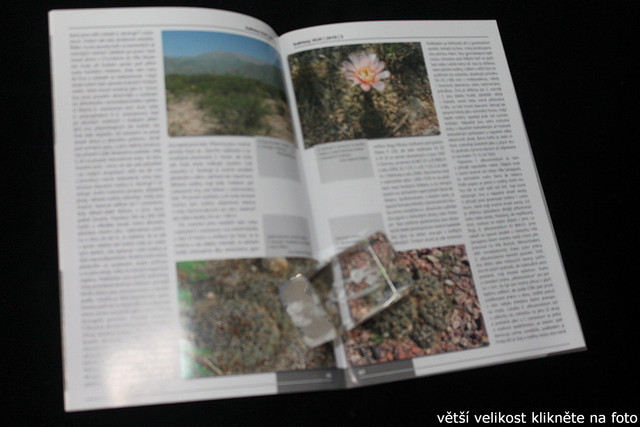 IMG-3299.jpg