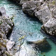 IMG-3270