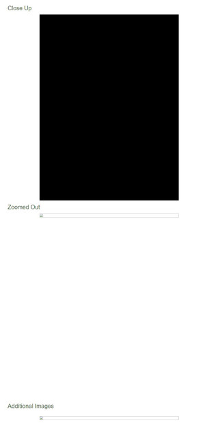 website-issue