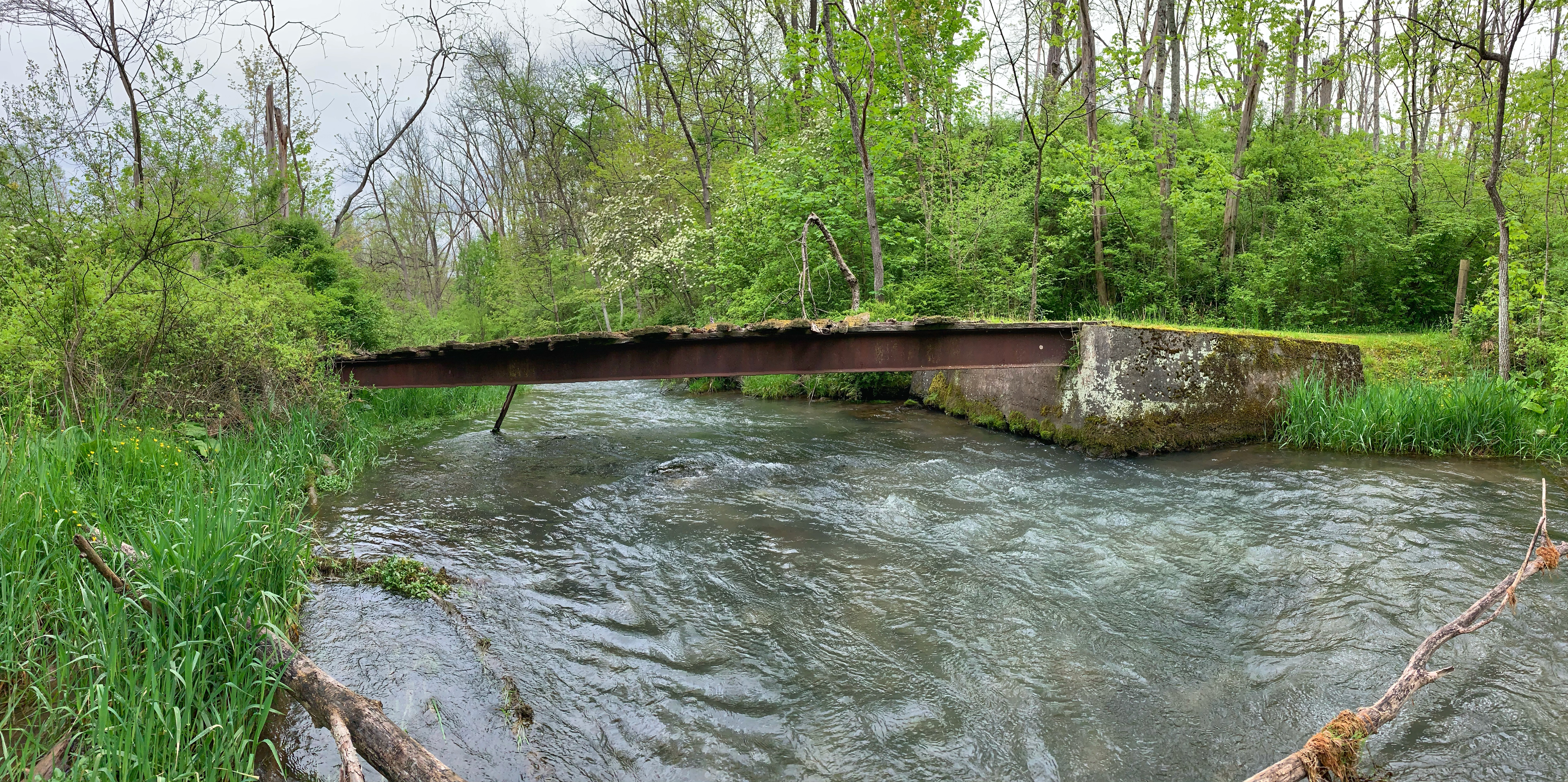 IMG-2986.jpg