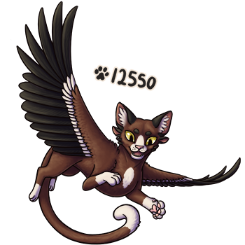 Pet Image