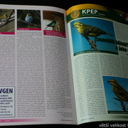 IMG-7825
