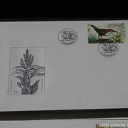 IMG-2702