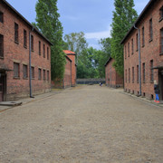 IMG-5796